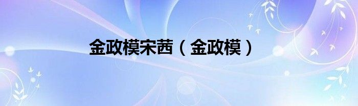 金政模宋茜（金政模）