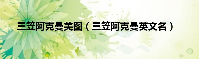 三笠阿克曼美图（三笠阿克曼英文名）