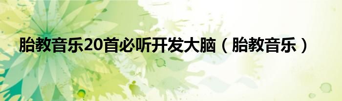 胎教音乐20首必听开发大脑（胎教音乐）