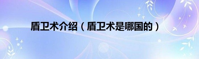 盾卫术介绍（盾卫术是哪国的）