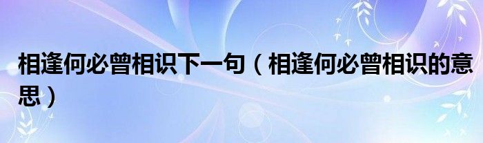 相逢何必曾相识下一句（相逢何必曾相识的意思）