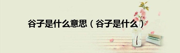 谷子是什么意思（谷子是什么）