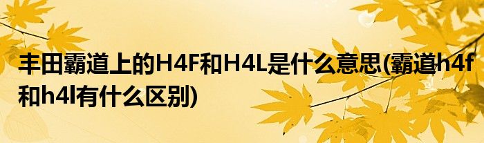 丰田霸道上的H4F和H4L是什么意思(霸道h4f和h4l有什么区别)