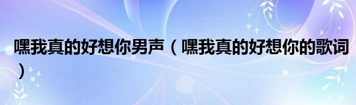 嘿我真的好想你男声（嘿我真的好想你的歌词）