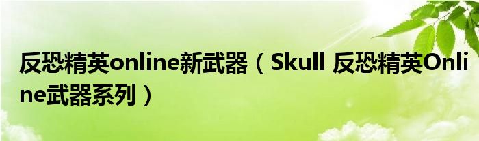 反恐精英online新武器（Skull 反恐精英Online武器系列）