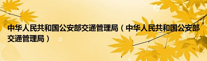 中华人民共和国公安部交通管理局（中华人民共和国公安部交通管理局）