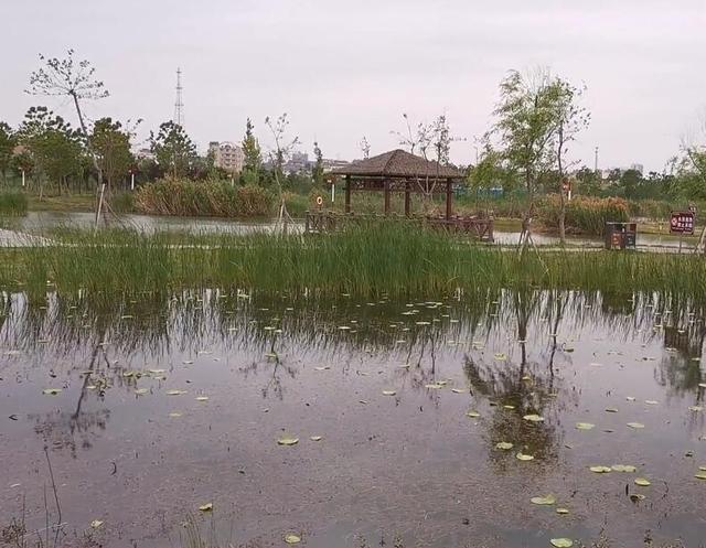 湖北免费值得自驾游的地方(湖北自驾旅游景点推荐)