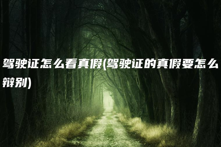 驾驶证怎么看真假(驾驶证的真假要怎么辩别)