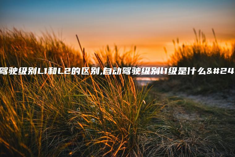 自动驾驶级别L1和L2的区别,自动驾驶级别l1级是什么意思