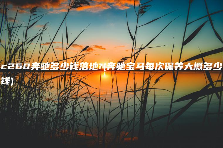 c260奔驰多少钱落地?(奔驰宝马每次保养大概多少钱)