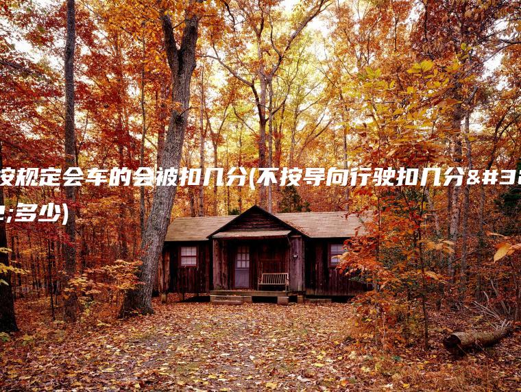 不按规定会车的会被扣几分(不按导向行驶扣几分罚多少)
