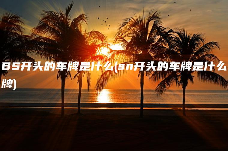 BS开头的车牌是什么(sn开头的车牌是什么牌)