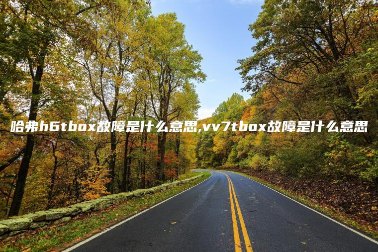 哈弗h6tbox故障是什么意思,vv7tbox故障是什么意思