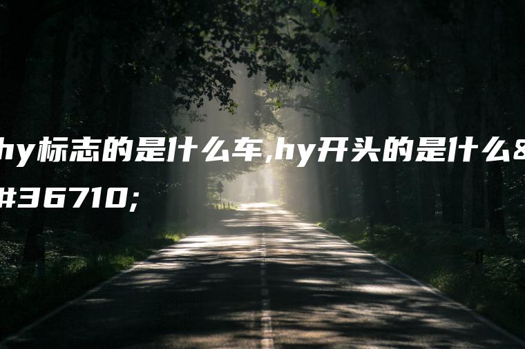 hy标志的是什么车,hy开头的是什么车