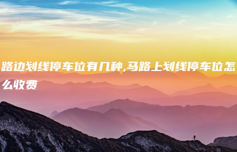 路边划线停车位有几种,马路上划线停车位怎么收费