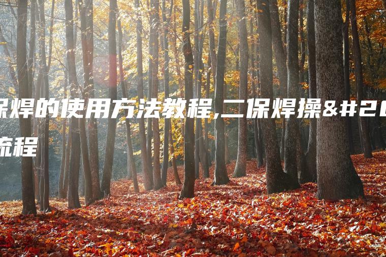 二保焊的使用方法教程,二保焊操作流程