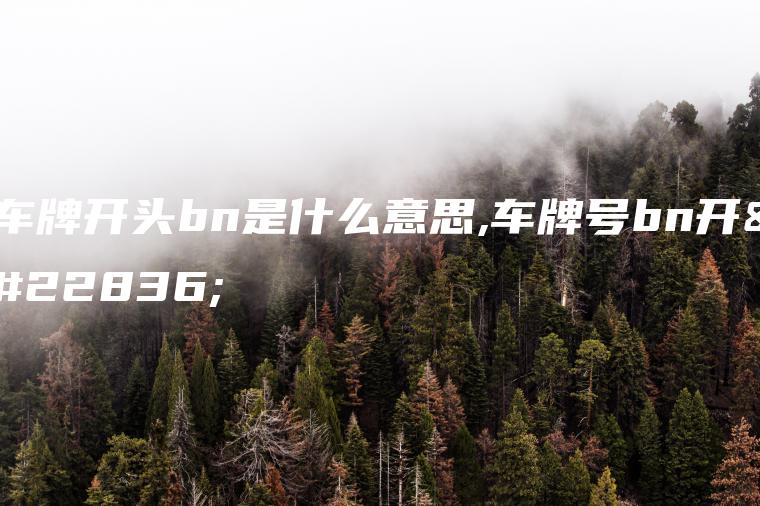 车牌开头bn是什么意思,车牌号bn开头
