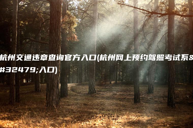 杭州交通违章查询官方入口(杭州网上预约驾照考试系统入口)