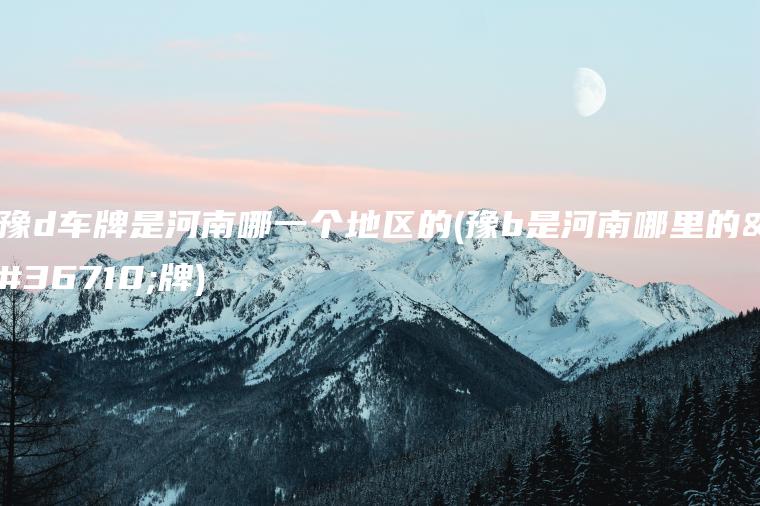 豫d车牌是河南哪一个地区的(豫b是河南哪里的车牌)