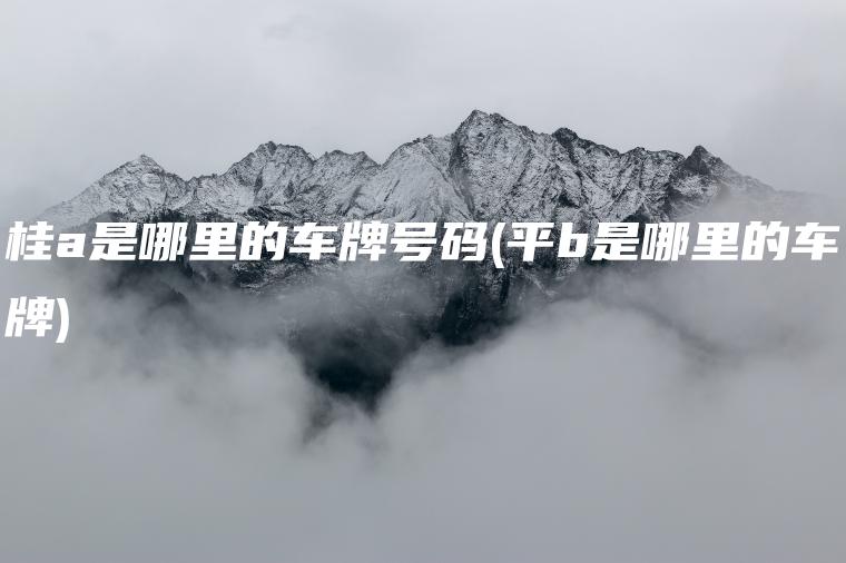 桂a是哪里的车牌号码(平b是哪里的车牌)