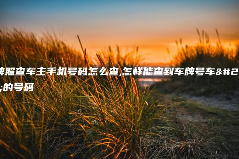 车牌照查车主手机号码怎么查,怎样能查到车牌号车主的号码