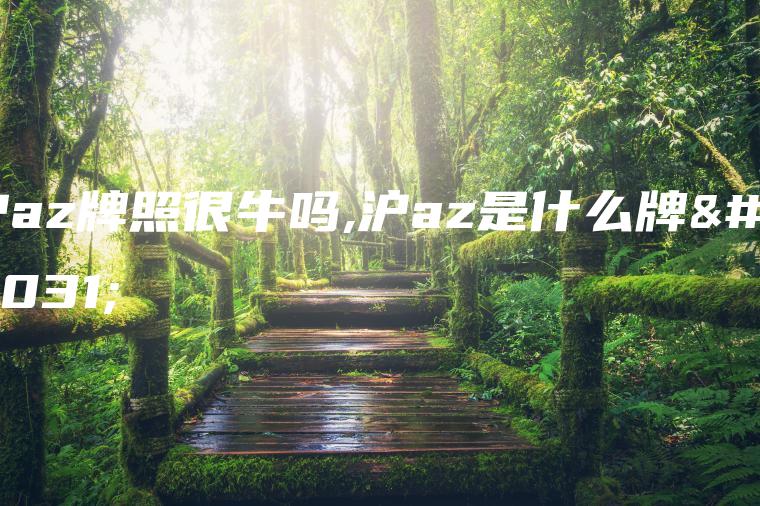沪az牌照很牛吗,沪az是什么牌照