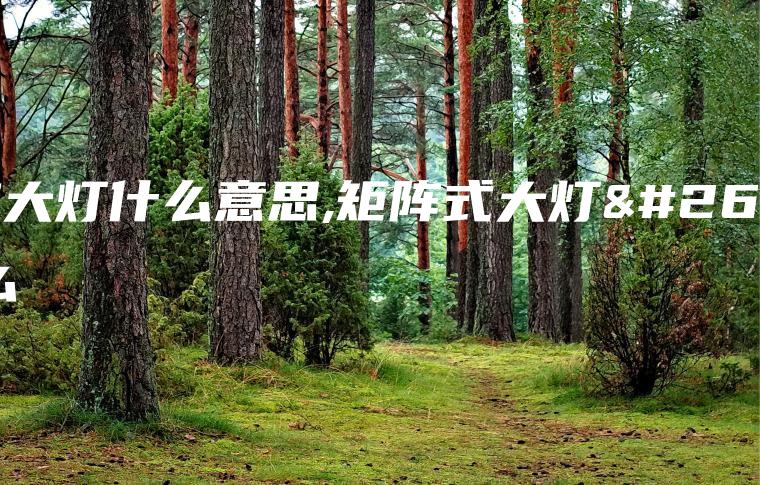 矩阵大灯什么意思,矩阵式大灯是什么