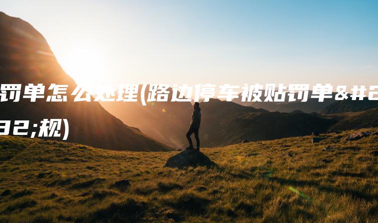 贴罚单怎么处理(路边停车被贴罚单新规)