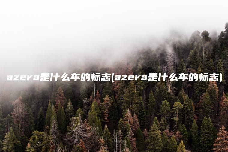 azera是什么车的标志(azera是什么车的标志)