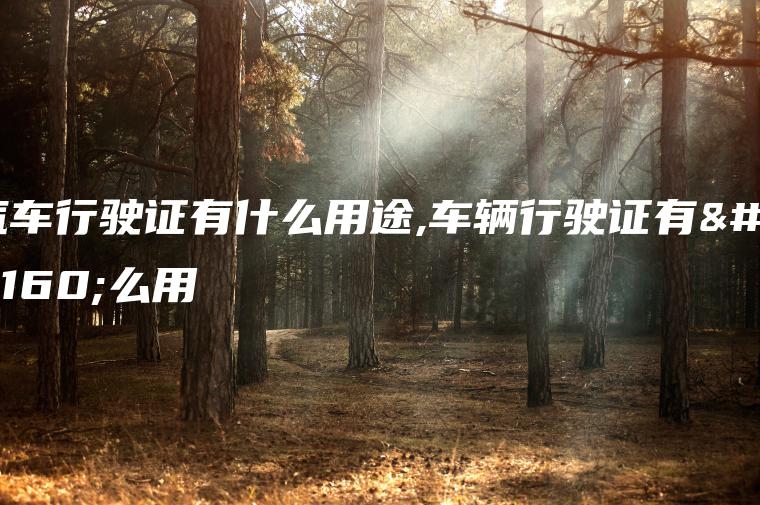 汽车行驶证有什么用途,车辆行驶证有什么用