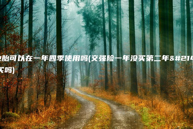 雪地胎可以在一年四季使用吗(交强险一年没买第二年可以买吗)