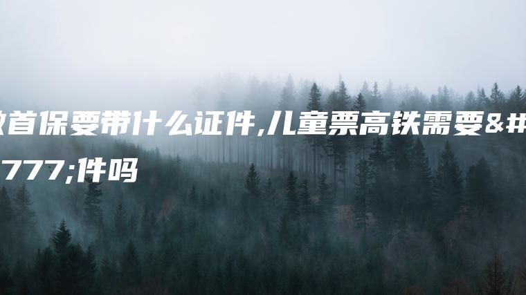 做首保要带什么证件,儿童票高铁需要证件吗