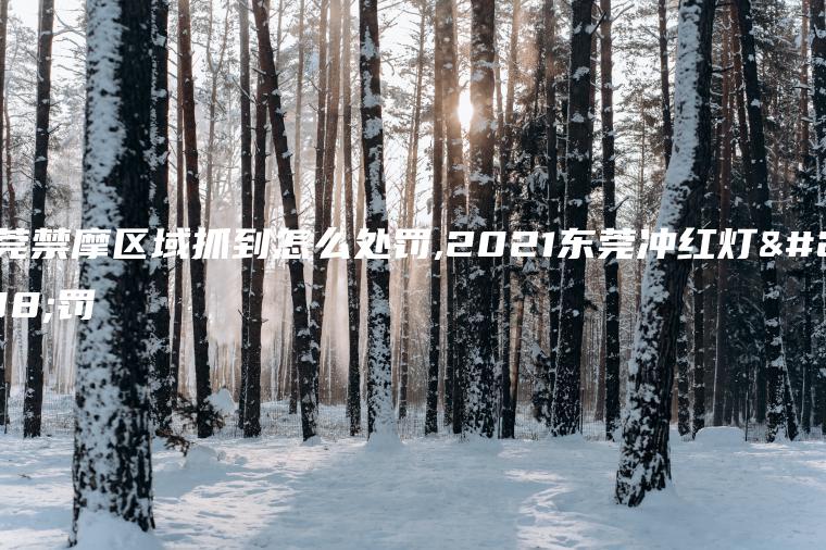 东莞禁摩区域抓到怎么处罚,2021东莞冲红灯处罚