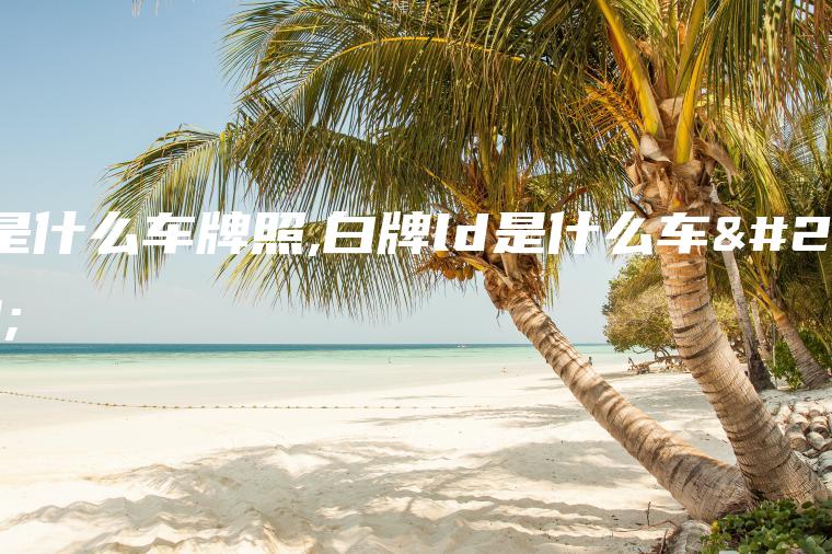 ld是什么车牌照,白牌ld是什么车牌