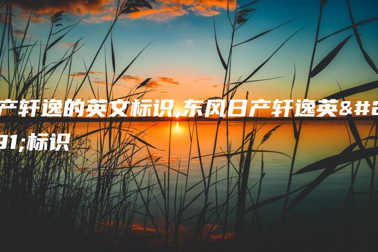 日产轩逸的英文标识,东风日产轩逸英文标识