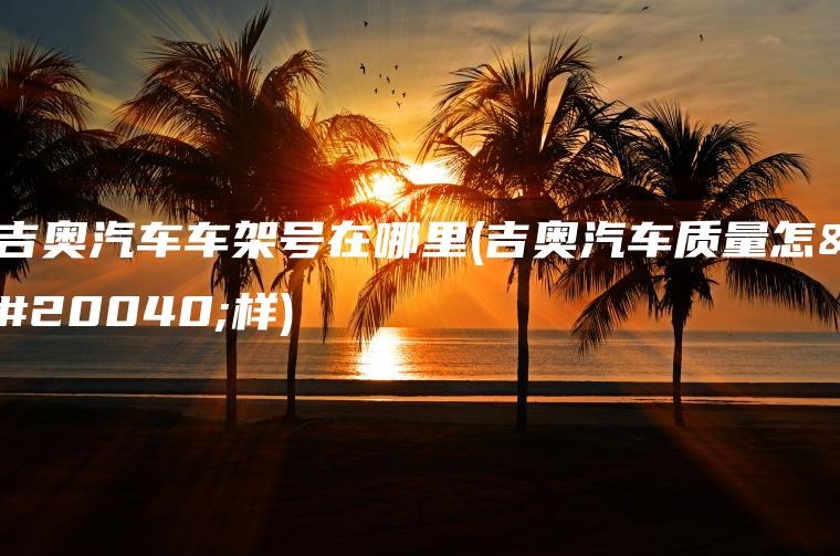 吉奥汽车车架号在哪里(吉奥汽车质量怎么样)