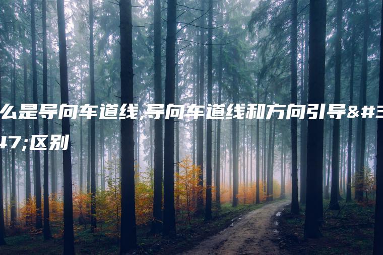 什么是导向车道线,导向车道线和方向引导线区别