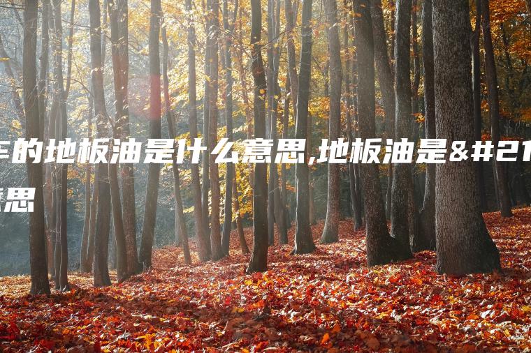 汽车的地板油是什么意思,地板油是啥意思