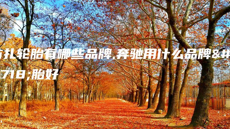 防扎轮胎有哪些品牌,奔驰用什么品牌轮胎好