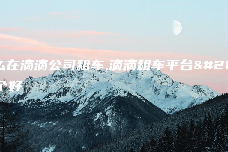 怎么在滴滴公司租车,滴滴租车平台哪个好