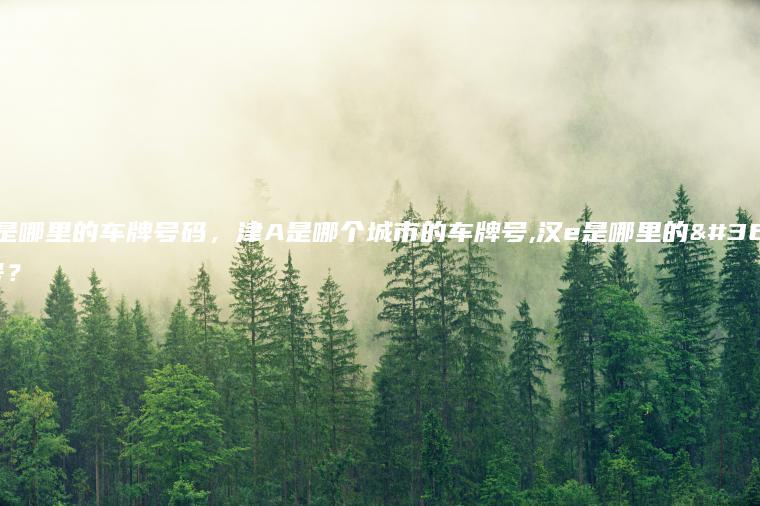 津A是哪里的车牌号码，津A是哪个城市的车牌号,汉e是哪里的车牌号？
