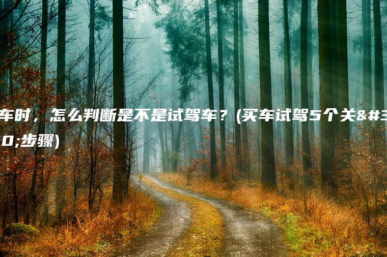 买车时，怎么判断是不是试驾车？(买车试驾5个关键步骤)