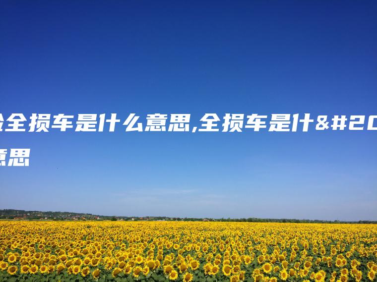 保险全损车是什么意思,全损车是什么意思