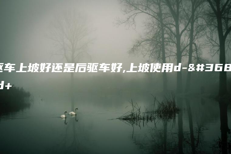 前驱车上坡好还是后驱车好,上坡使用d-还是d+