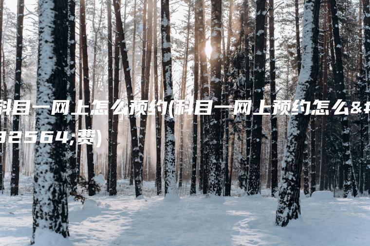 科目一网上怎么预约(科目一网上预约怎么缴费)