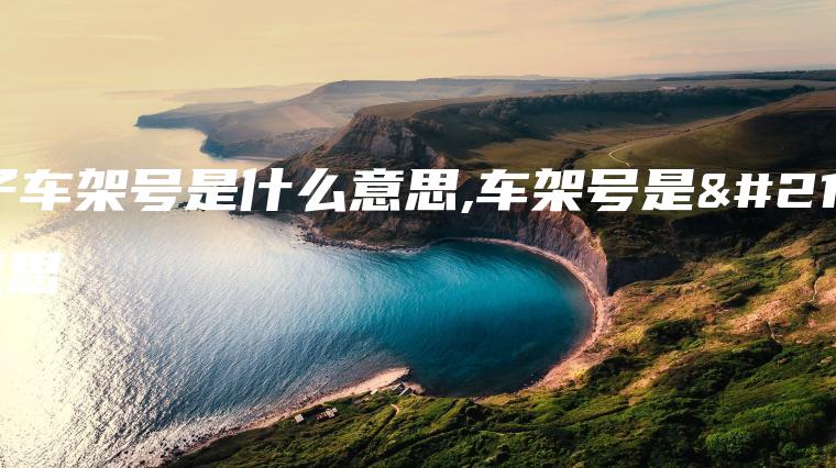 车子车架号是什么意思,车架号是啥意思