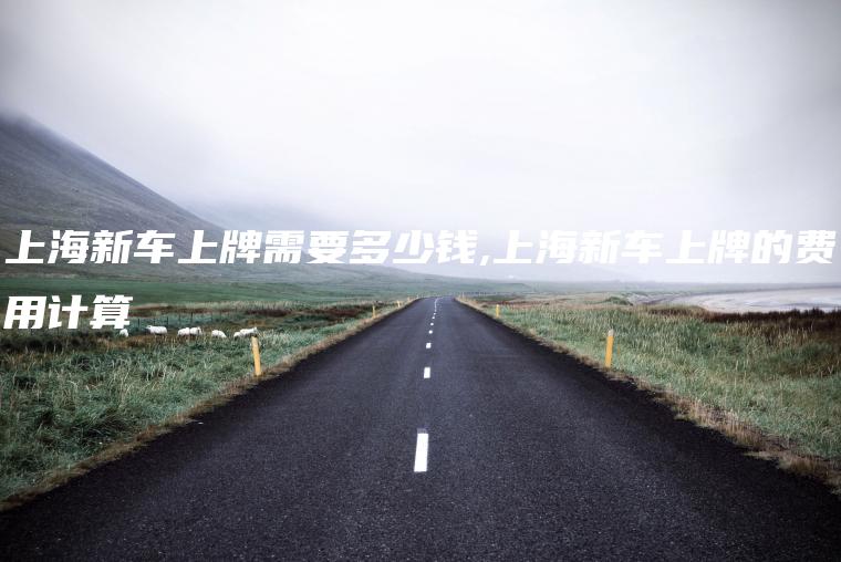 上海新车上牌需要多少钱,上海新车上牌的费用计算