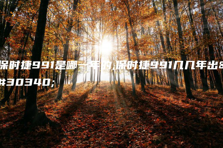 保时捷991是哪一年的,保时捷991几几年出的