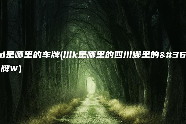 苏d是哪里的车牌(川k是哪里的四川哪里的车牌W)