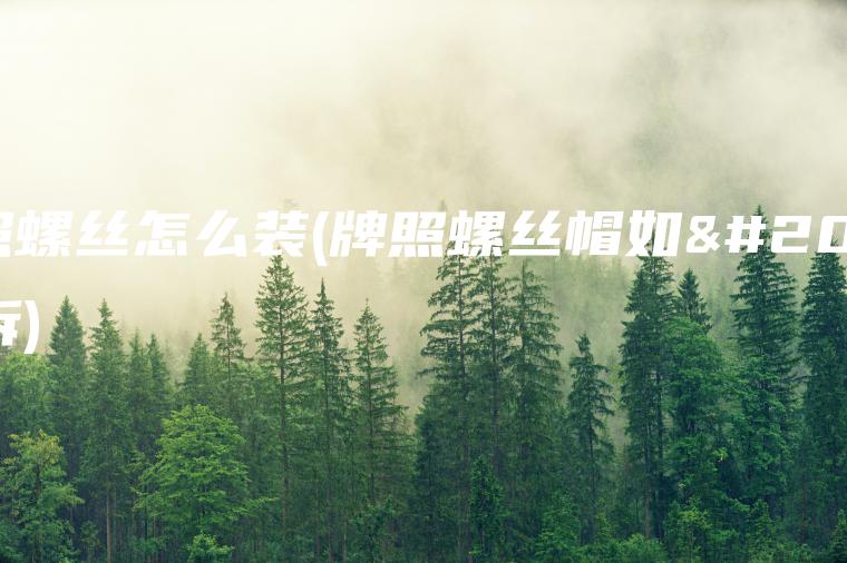 牌照螺丝怎么装(牌照螺丝帽如何拆)